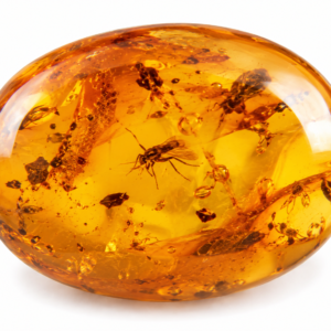 natural amber